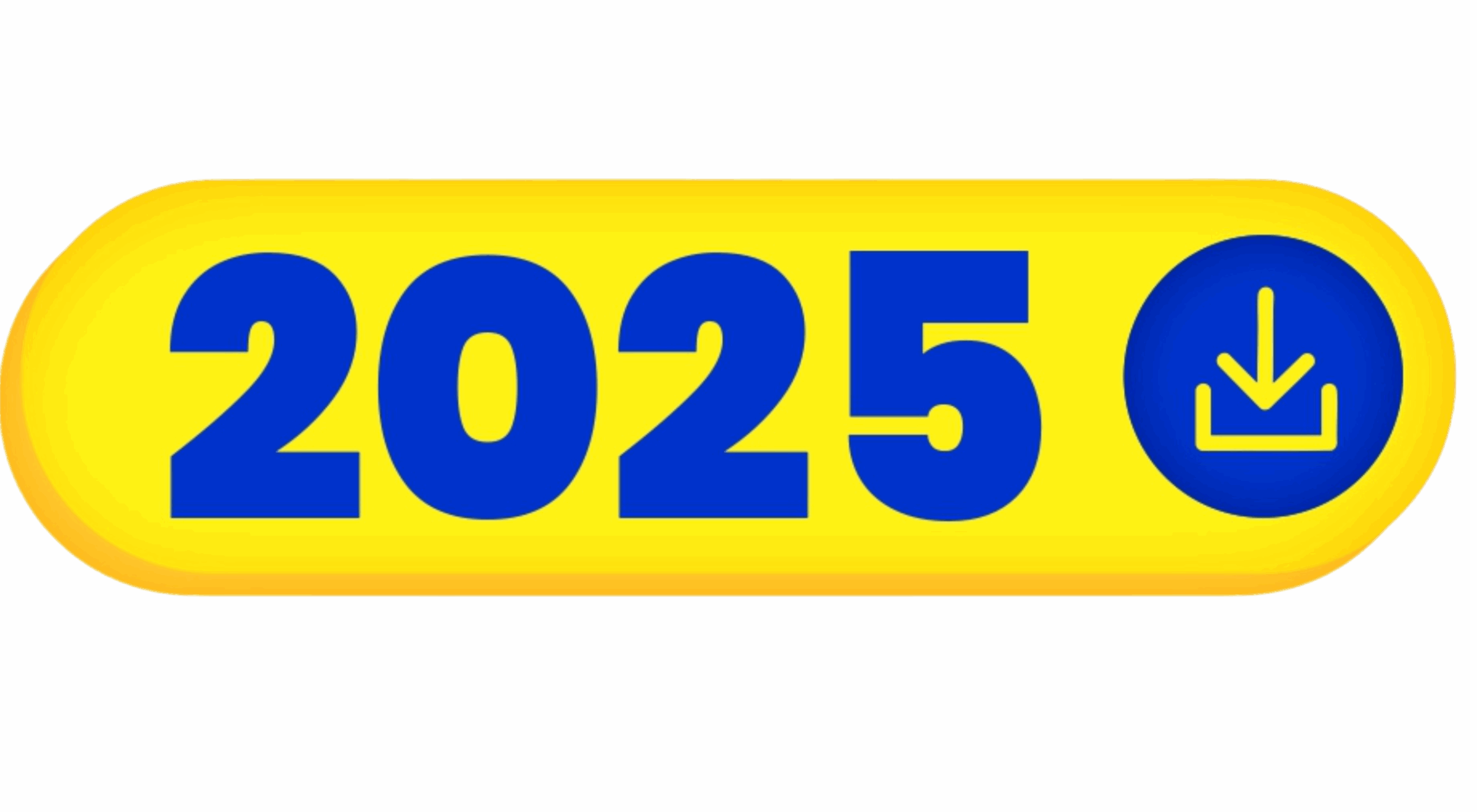 Estados financieros 2025