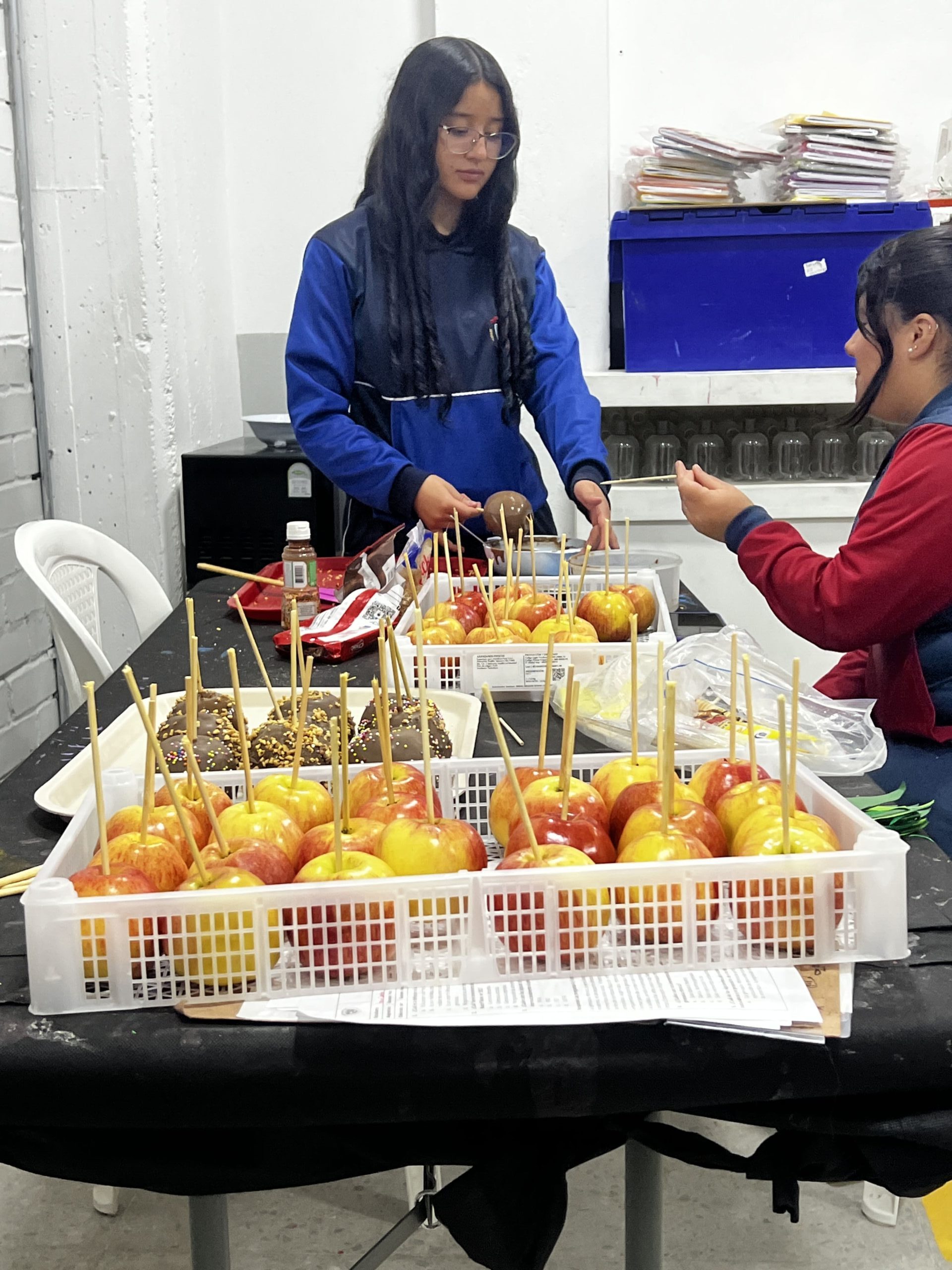 Emprendimiento Karis 1