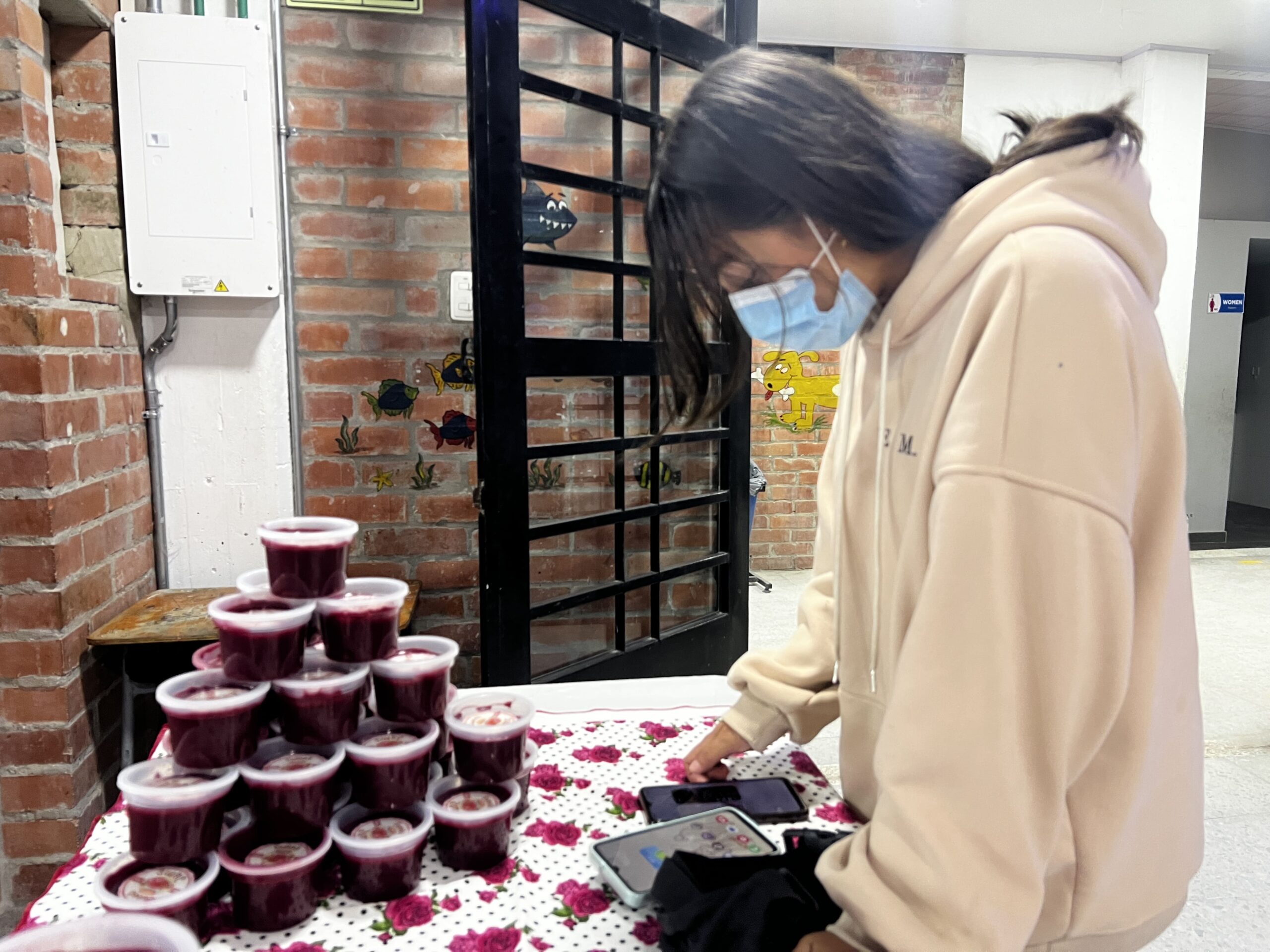 Emprendimiento Karis 5